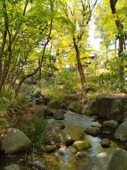日本庭園 小川,せせらぎ,水のある風景の写真素材