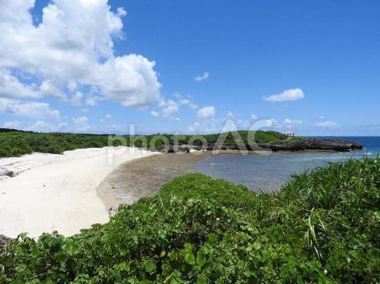 沖縄県宮古島の海と空 宮古島,植物,沖縄の写真素材