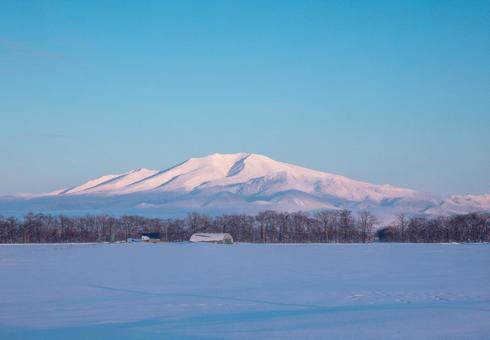 夕暮れの海別岳と雪原 夕暮れの海別岳と雪原 海別岳,青空,雪山の写真素材