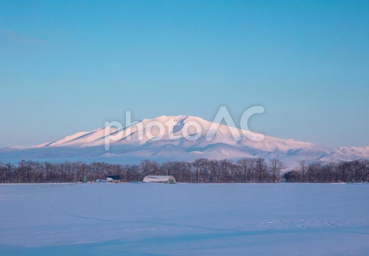 夕暮れの海別岳と雪原 海別岳,青空,雪山の写真素材