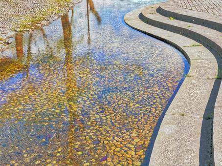 Photo, chuan, stone, moss, 
