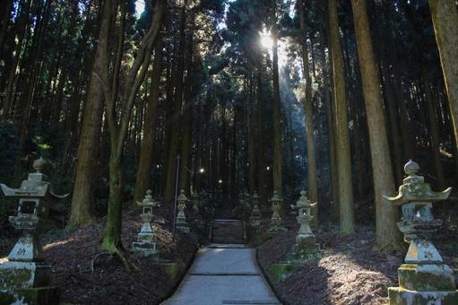 熊本県高森町 上色見熊野座神社 参道 熊本県高森町 上色見熊野座神社 参道 上色見熊野座神社,神社,鳥居の写真素材