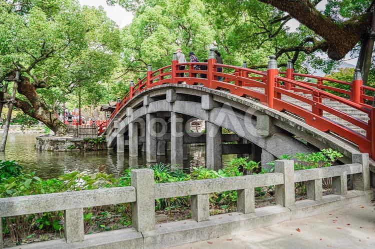 神社　有名な大宰府天満宮の風景 風景,景色,日本の写真素材