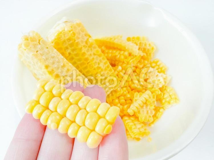 とうもろこし とうもろこし,野菜,食べ物の写真素材