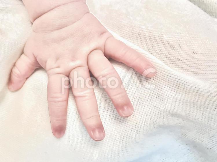 赤ちゃんのおてて 赤ちゃん,手,指の写真素材