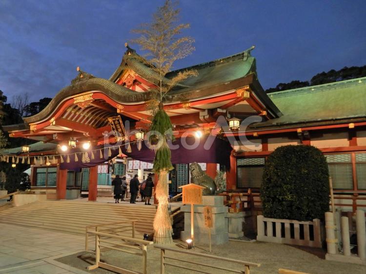 西宮神社　夜景 西宮神社,夜景,神社の写真素材