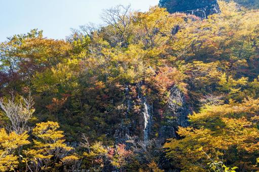 二口渓谷の紅葉⑹ 秋,紅葉,山の写真素材