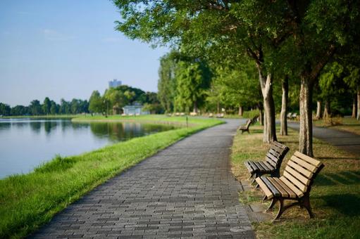水元公園 水元公園 公園,風景,自然の写真素材