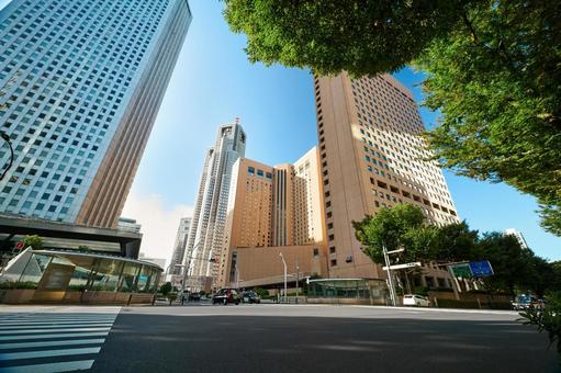 高層ビルと空 日本 東京 高層ビルと空 日本 東京 新宿,高層ビル,ビルの写真素材