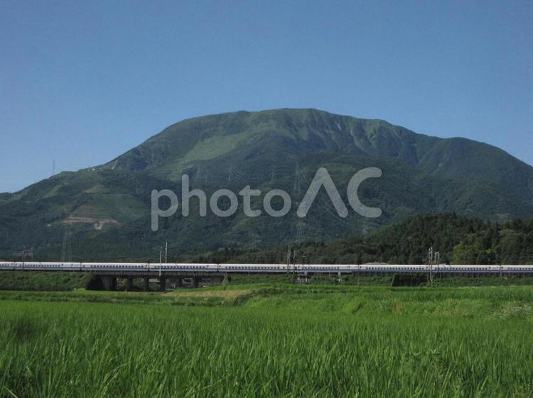 伊吹山を望む夏の田園風景 伊吹山,滋賀,田んぼの写真素材