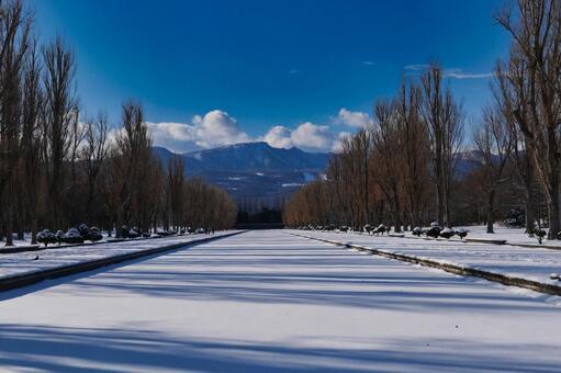 Photo, winter, maeda forest park, canal, 