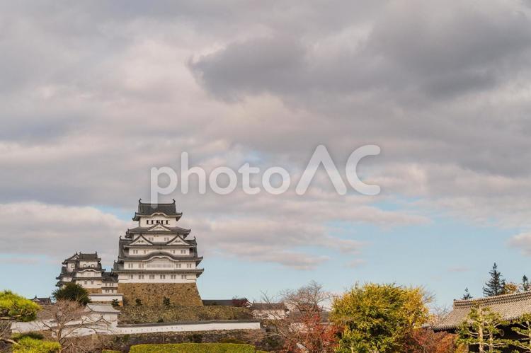 【兵庫県】曇りの日の姫路城 姫路城,城,兵庫の写真素材
