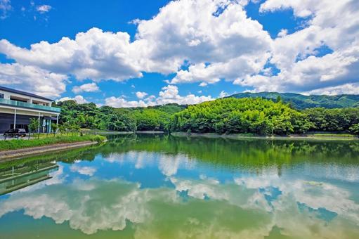夏の輝き、水面に映る雲と豊かな自然 夏の輝き、水面に映る雲と豊かな自然 夏,青空,雲の写真素材