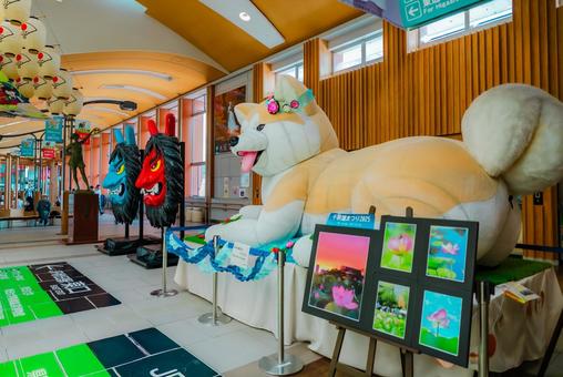 【秋田】秋田駅 秋田犬 2025 秋田,2025,青空の写真素材