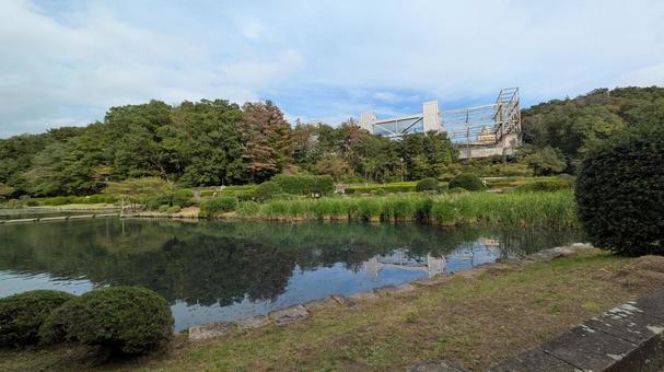 宮城県仙台市　台原森林公園 宮城県,仙台市,台原森林公園の写真素材