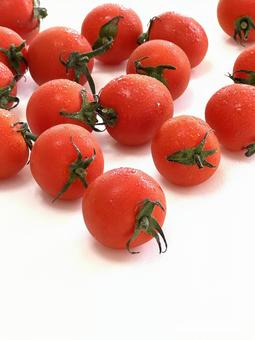 プチトマトもぎたての赤、水滴でたくさん 鮮やか,新鮮,赤の写真素材