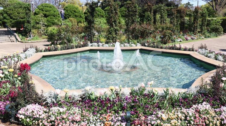 港の見える丘公園の噴水 港の見える丘公園,噴水,山手の写真素材