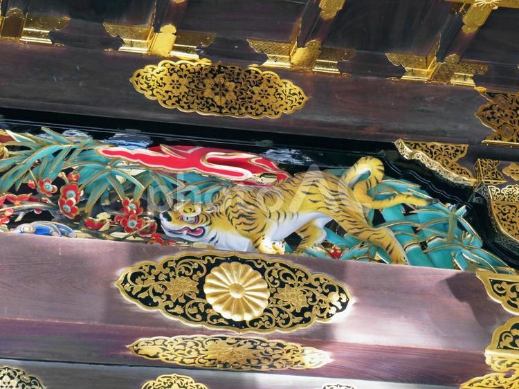京都　二条城　唐門 京都,二条城,唐門の写真素材