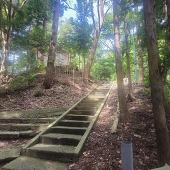Photo, stone steps, a shrine, antiquity, 