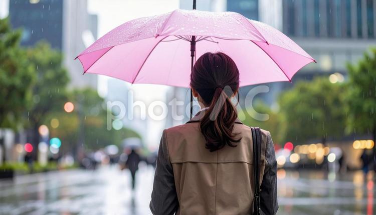 ピンクの傘をさして通勤する女性の後ろ姿 雨,傘,雨傘の写真素材