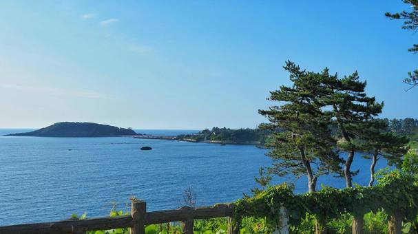 東尋坊 東尋坊 東尋坊,海,風景の写真素材