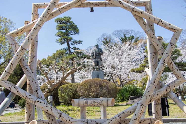 岡崎城公園 徳川家康 桜 岡崎城公園,徳川家康,桜の写真素材