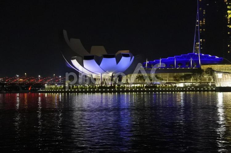 アートサイエンスミュージアムの夜景 シンガポール,アートサイエンスミュージアム,夜景の写真素材