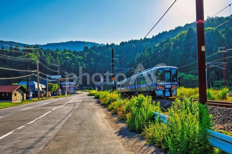 里山の風景に溶け込む、普通列車 普通,電車,里山の写真素材