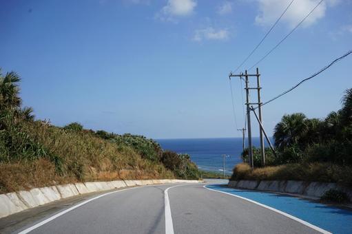 海へ続く南国の道 海へ続く南国の道 海,道路,南国の写真素材