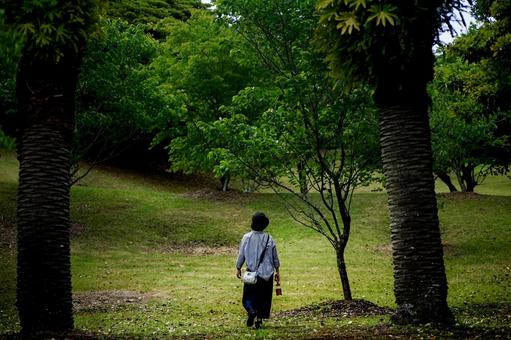 <素材>夏の公園を散策する女性の後ろ姿 <素材>夏の公園を散策する女性の後ろ姿 女性,山登り,ウォーキングの写真素材