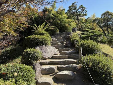 縮景園 縮景園,庭園,広島県の写真素材