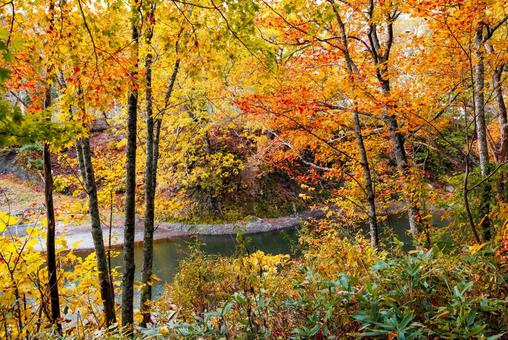 秋の滝上町の風景 秋の滝上町の風景の写真