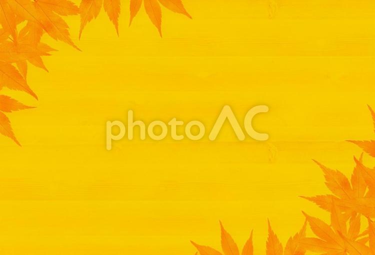 黄色とオレンジ色の和紙と紅葉の背景 背景,秋,黄色の写真素材