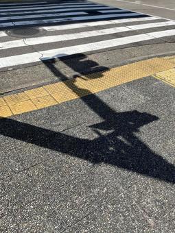 横断歩道 横断歩道の写真