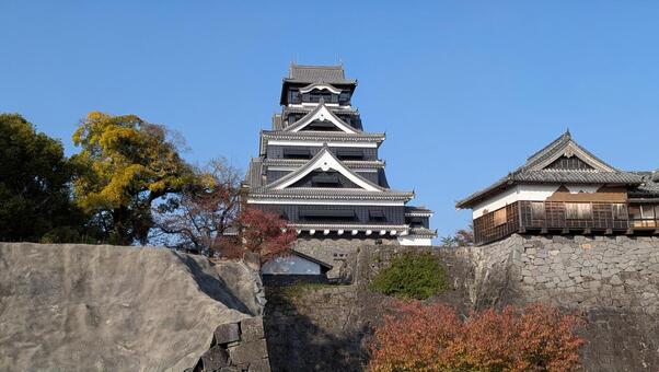 熊本城 熊本,城,castleの写真素材