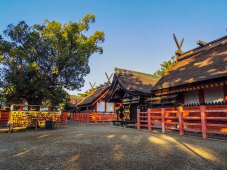 【大阪府】大阪市・住吉大社 住吉大社,寺社仏閣,神社の写真素材