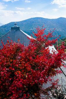 紅葉と寺の屋根と山々の景色 紅葉,モミジ,楓の写真素材