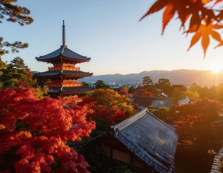 日本の紅葉 秋の寺院 日本の紅葉 秋の寺院の写真