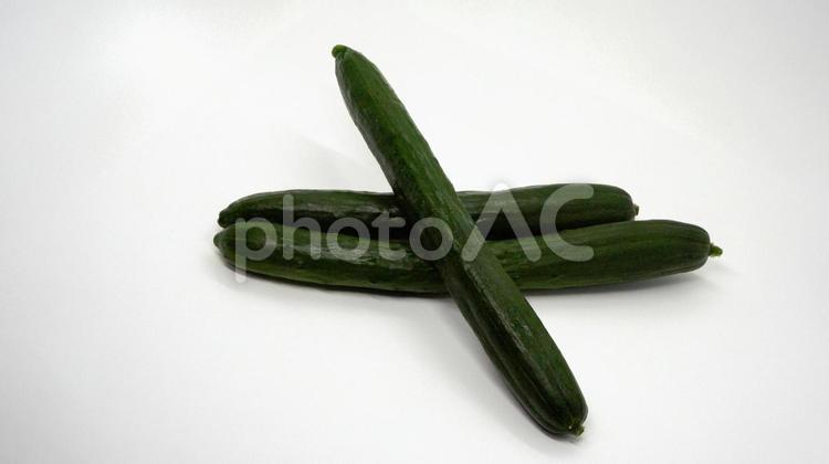 新鮮なきゅうり（白背景） きゅうり,胡瓜,野菜の写真素材
