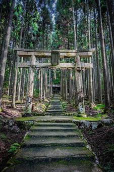 京都　賀茂神社の風景 京都,京都府,京都市の写真素材