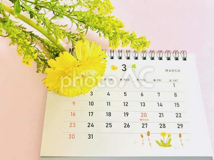 3月のカレンダーとガーベラ 3月,おしゃれ,きれいの写真素材