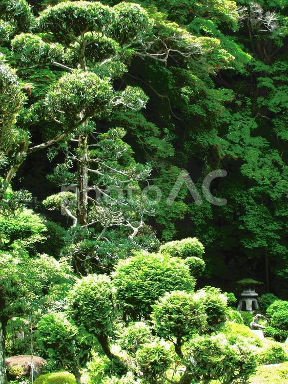 奈良県-當麻寺-西南院庭園 當麻寺,寺,二上山の写真素材