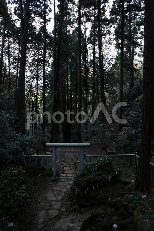 御岩神社　かびれ神宮 御岩神社,賀毗礼神宮,日立市の写真素材