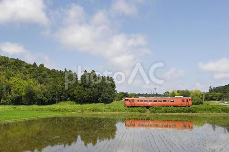 田園を行くキハ40 初夏,気動車,ローカル線の写真素材