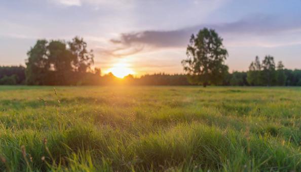 夕日 夕日の写真