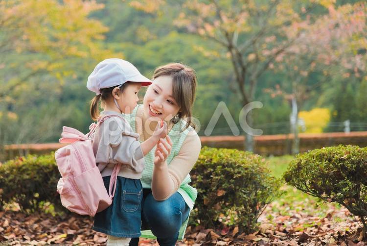 秋の公園を散歩・遠足する保育士と園児 保育園,託児所,子供の写真素材