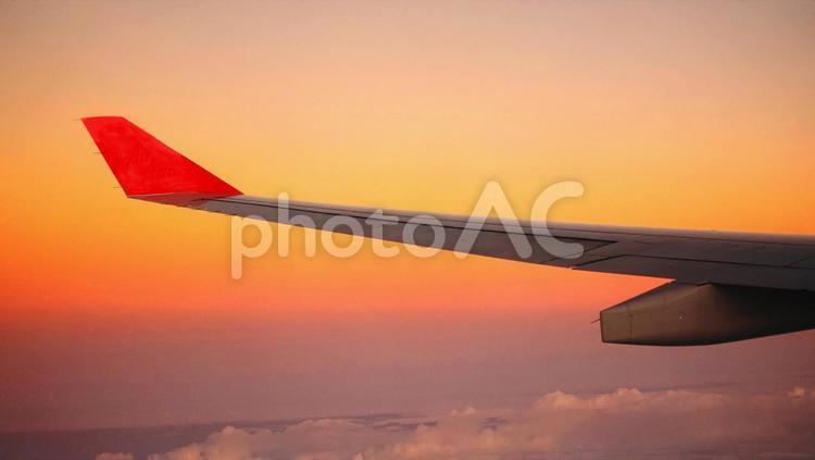 飛行機からの景色（夕焼け） 飛行機,夕焼け,白の写真素材
