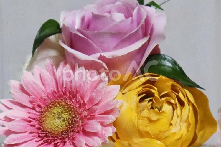 バラの花束のイメージ バラ,薔薇,花束の写真素材