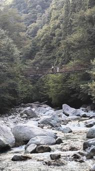 白州 尾白川渓谷001 白州 尾白川渓谷001 白州,尾白川,滝の写真素材