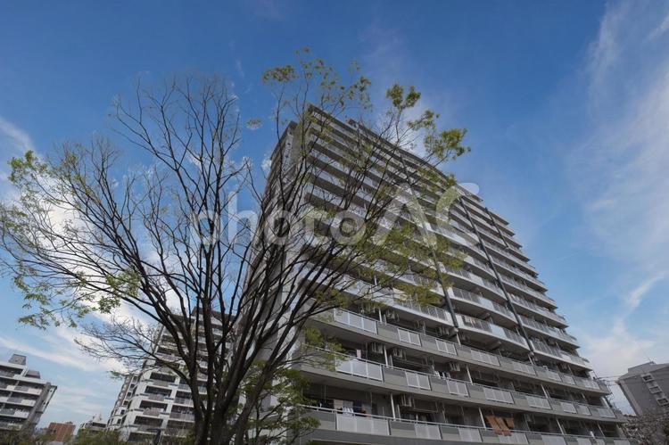 新築マンションのイメージ 新築マンション,マンション,高層マンションの写真素材